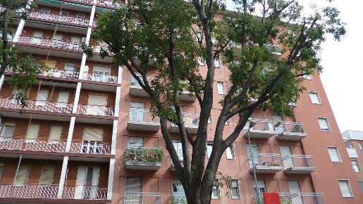 Foto Appartamento a Milano Barona di 40 m² con 1 locali in affitto