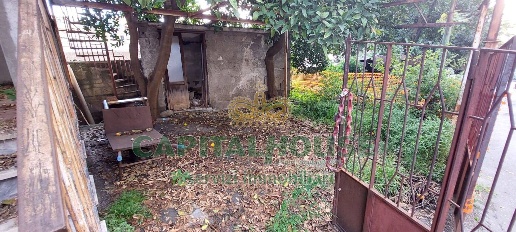 immagine annuncio 6 di 14