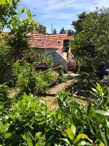 Foto Casa indipendente a Rosignano Marittimo in vendita