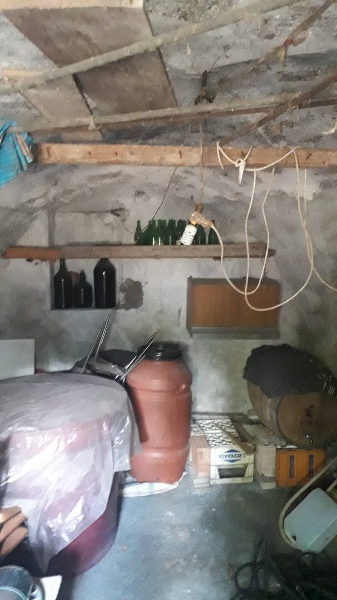 immagine annuncio 10 di 11