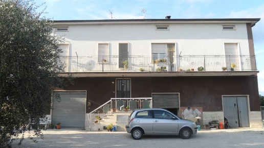 immagine annuncio 8 di 11
