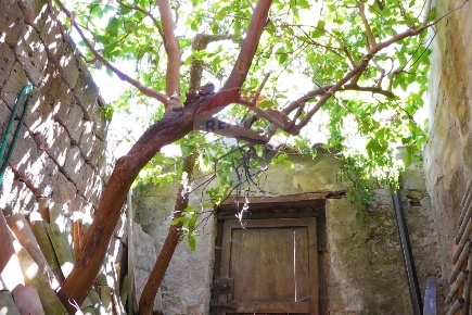 Foto Case semi ndipendenti in via Roma, Solopaca di 115 m² con 4 locali