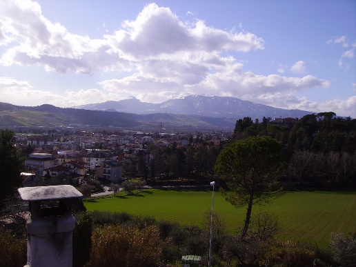 immagine annuncio 6 di 7
