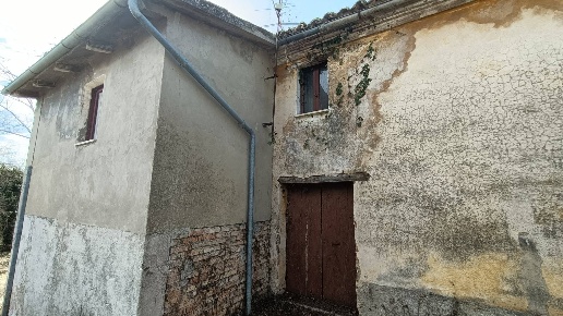 immagine annuncio 2 di 12