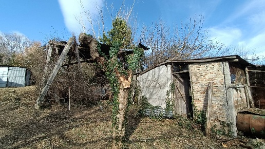 immagine annuncio 8 di 12
