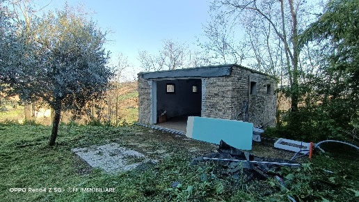 immagine annuncio 8 di 12