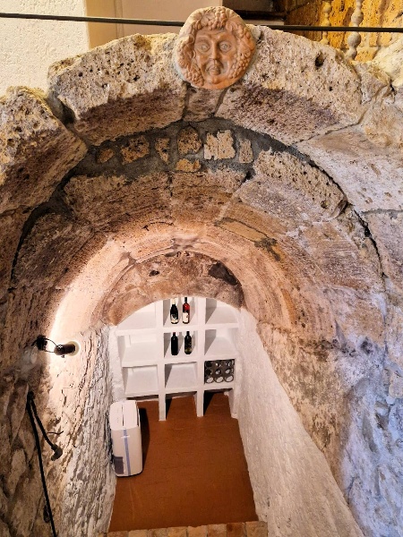 immagine annuncio 11 di 15