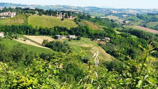 Foto Casa indipendente a Montottone in vendita