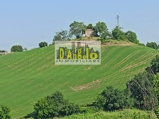 immagine annuncio 3 di 14