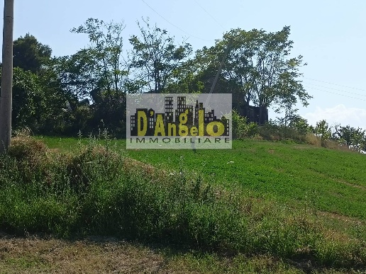 immagine annuncio 5 di 14