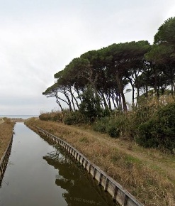 Foto Casa indipendente in LOCALITò COLOMBAIA, Suvereto in vendita