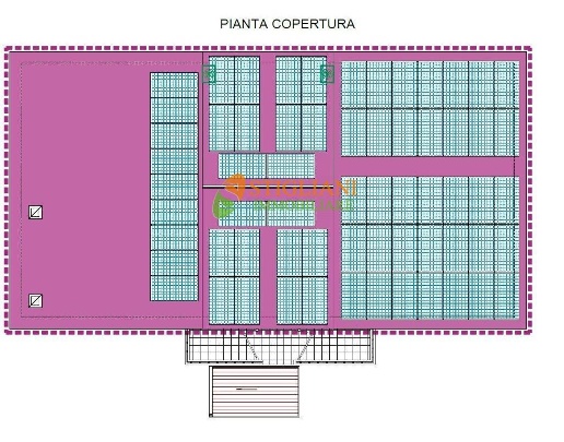 immagine annuncio 5 di 11