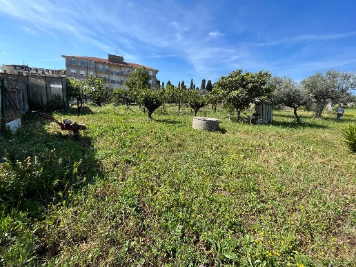immagine annuncio 1 di 6