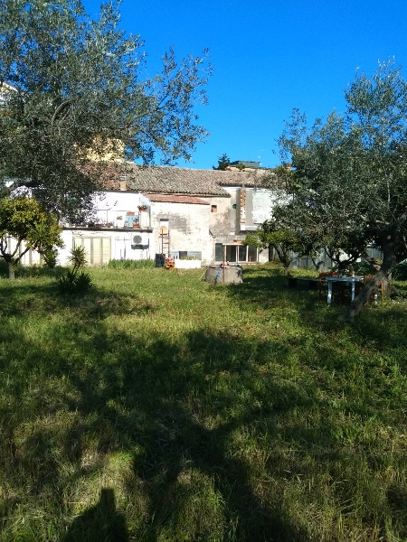 immagine annuncio 3 di 6