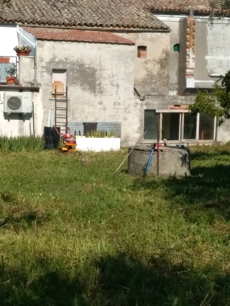 immagine annuncio 4 di 6