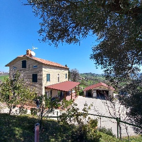 Foto Casa indipendente in Strada montapponese, Falerone in vendita