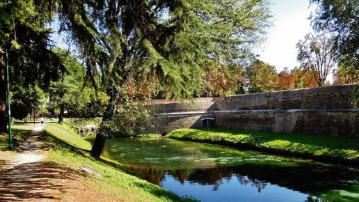 immagine annuncio 2 di 3