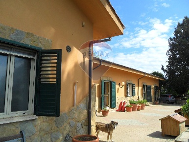 Foto Villa singola in Via Firrio, Caltanissetta Centro di 321 m² in vendita