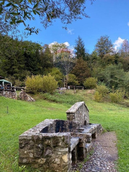 immagine annuncio 7 di 11