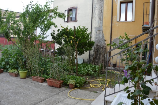 immagine annuncio 12 di 13