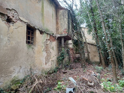 immagine annuncio 4 di 12