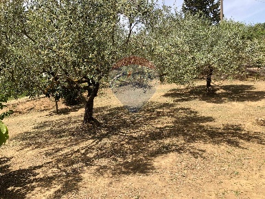 Foto Casa indipendente in Via Colleggiata, Caltagirone Centro in vendita