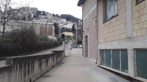 immagine annuncio 2 di 12
