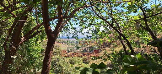 Foto Casa indipendente in Contrada pietraperciata, Taormina di 300 m²