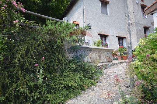 immagine annuncio 5 di 14