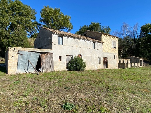 immagine annuncio 1 di 11