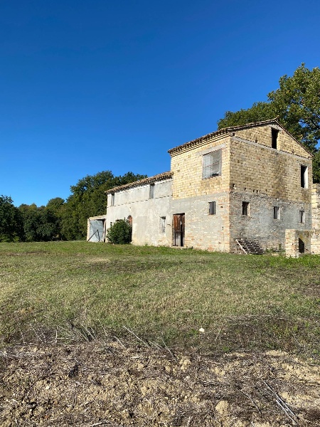 immagine annuncio 2 di 11