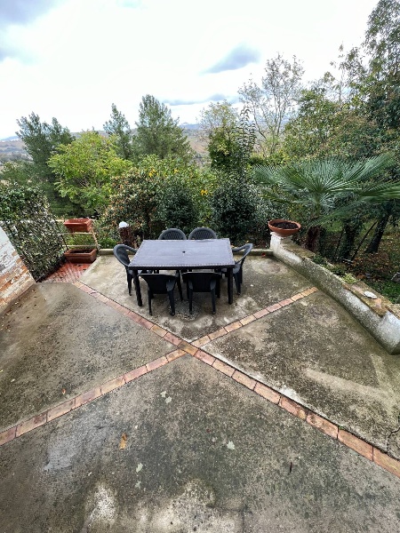 immagine annuncio 8 di 14