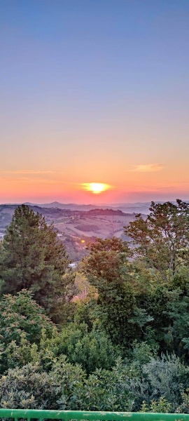 immagine annuncio 10 di 14