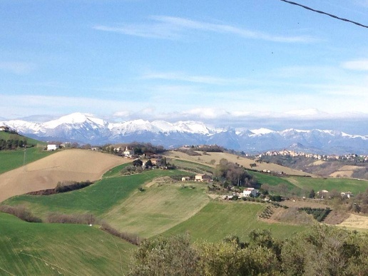 immagine annuncio 1 di 12