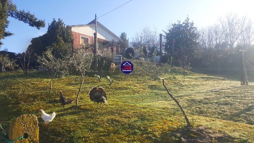 Foto Casa indipendente in VIA MONTALI, Montelabbate Centro di 219 m²