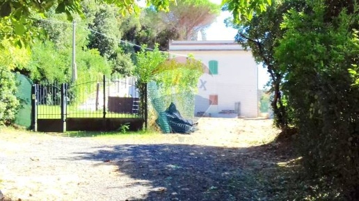 Foto Casa indipendente a Rosignano Marittimo in vendita