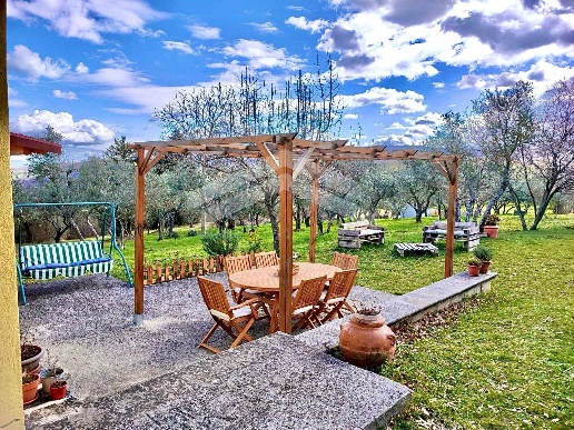 immagine annuncio 6 di 13