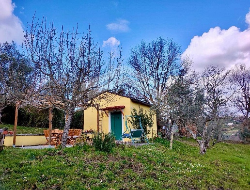 immagine annuncio 10 di 13