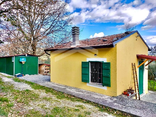 immagine annuncio 11 di 13