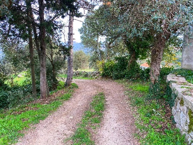 Foto Casa indipendente in Via Luras - Loc. Toveddu, Luras di 10300 m²