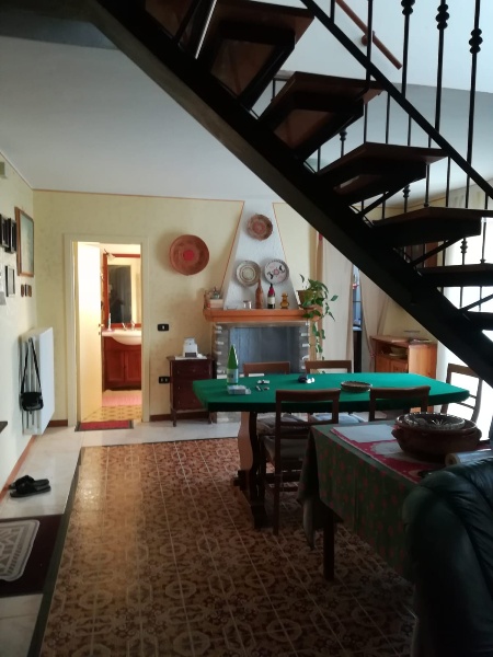 immagine annuncio 7 di 14