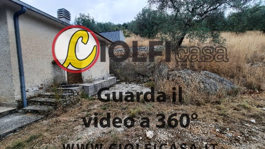 immagine annuncio 11 di 13