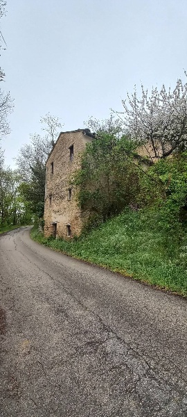 immagine annuncio 1 di 8