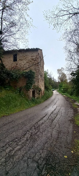 immagine annuncio 3 di 8