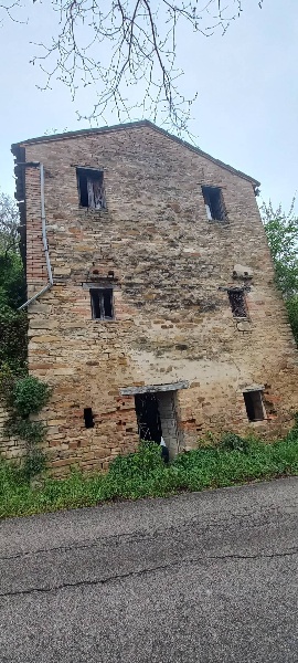 immagine annuncio 5 di 8
