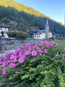 Foto Case semi ndipendenti in via Capoluogo, Fontainemore di 300 m²