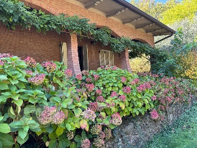 Foto Casa indipendente in viale Sant'Ambrogio, Formigine di 484 m²