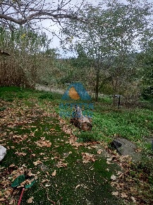 Foto Casa indipendente a Montespertoli di 185 m² con 4 locali in vendita