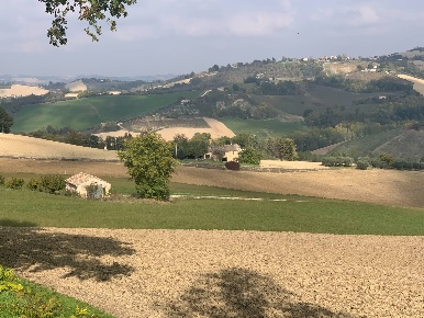 Foto Casa indipendente in Contrada San Procolo, Monte Vidon Combatte