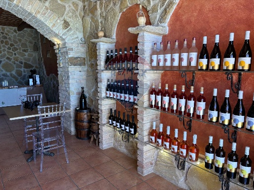 immagine annuncio 12 di 15